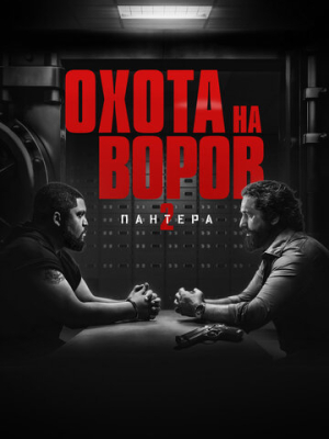Охота на воров 2: Пантера 